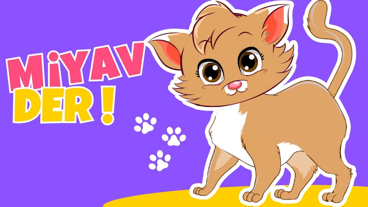 🐱 Kedicim Miyav Miyav Der! | 45 Dakika | Eğlenceli ve Eğitici Çocuk Şarkıları