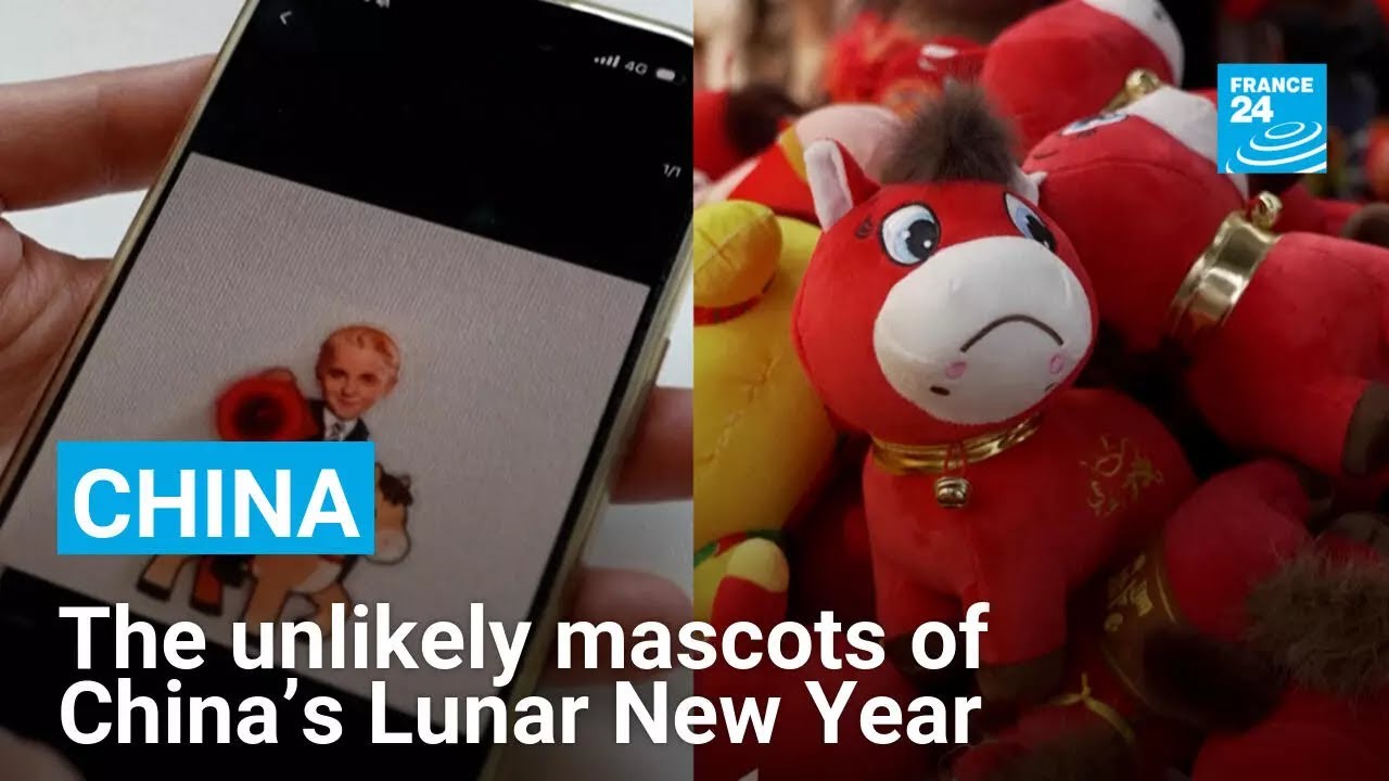 Draco Malfoy and a sad horse: The unlikely mascots of China’s Lunar New Year • FRANCE 24 English