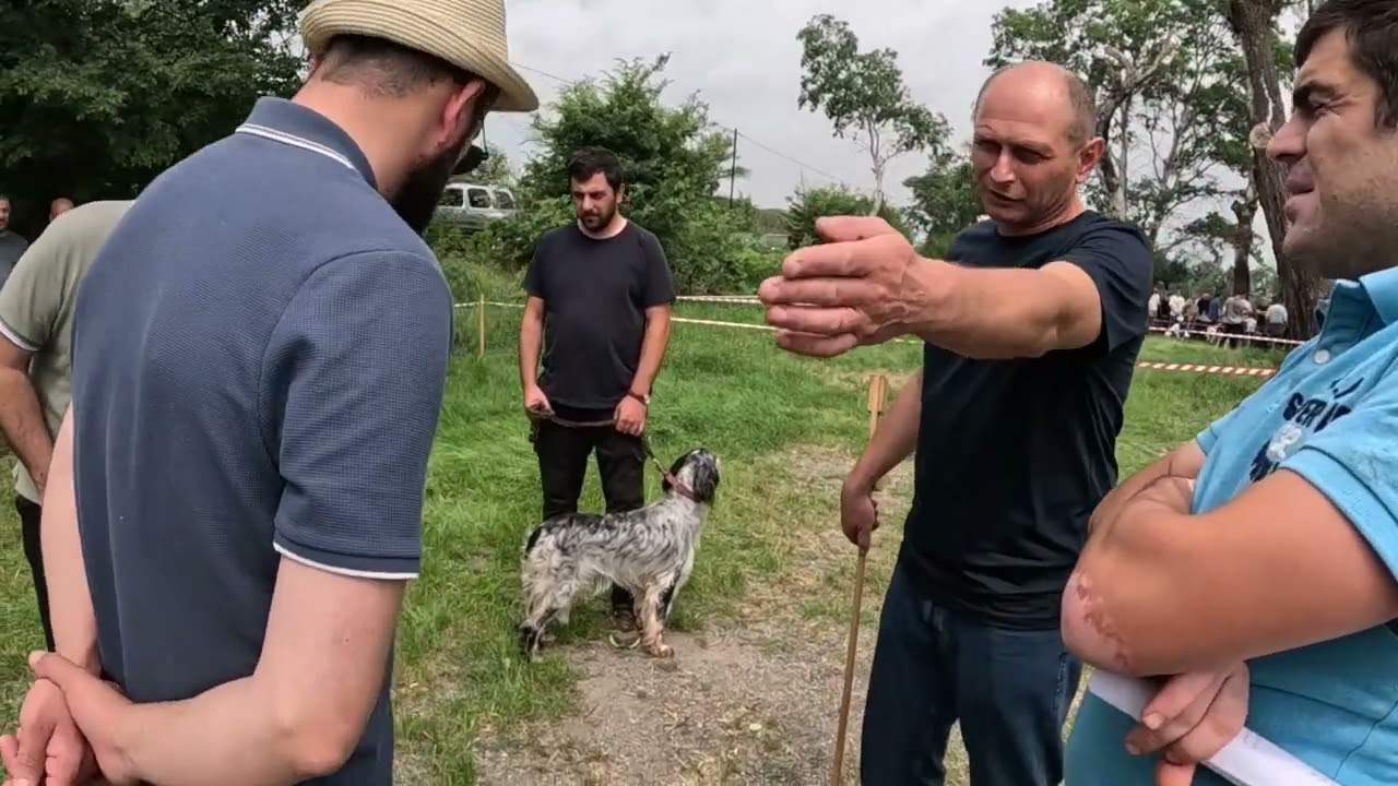 სანადირო ძაღლების გამოფენა 08.06 (პირველი დღე)