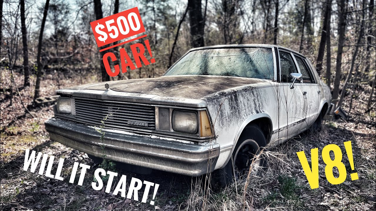 Cheap V8 Malibu parked for 25 years will it start and drive again ?