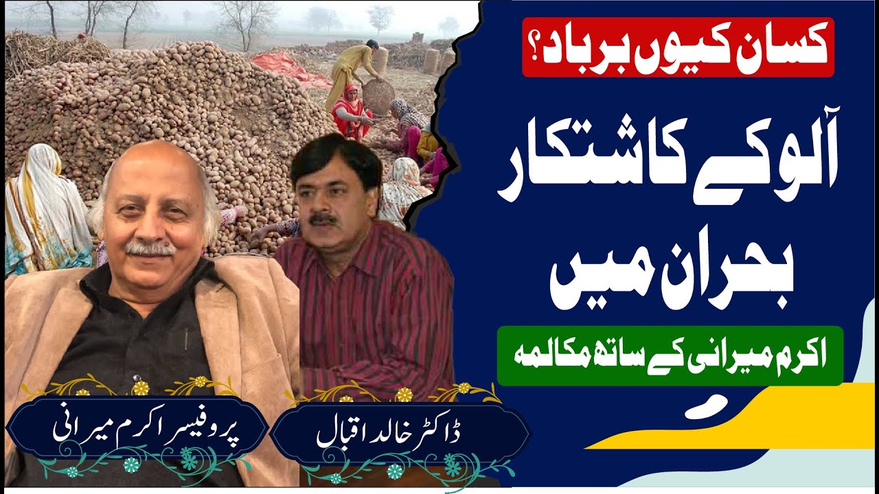 Agricultural Policy Failure Destroys Potato Farmers | Dialogue with Prof. Akram Mirani