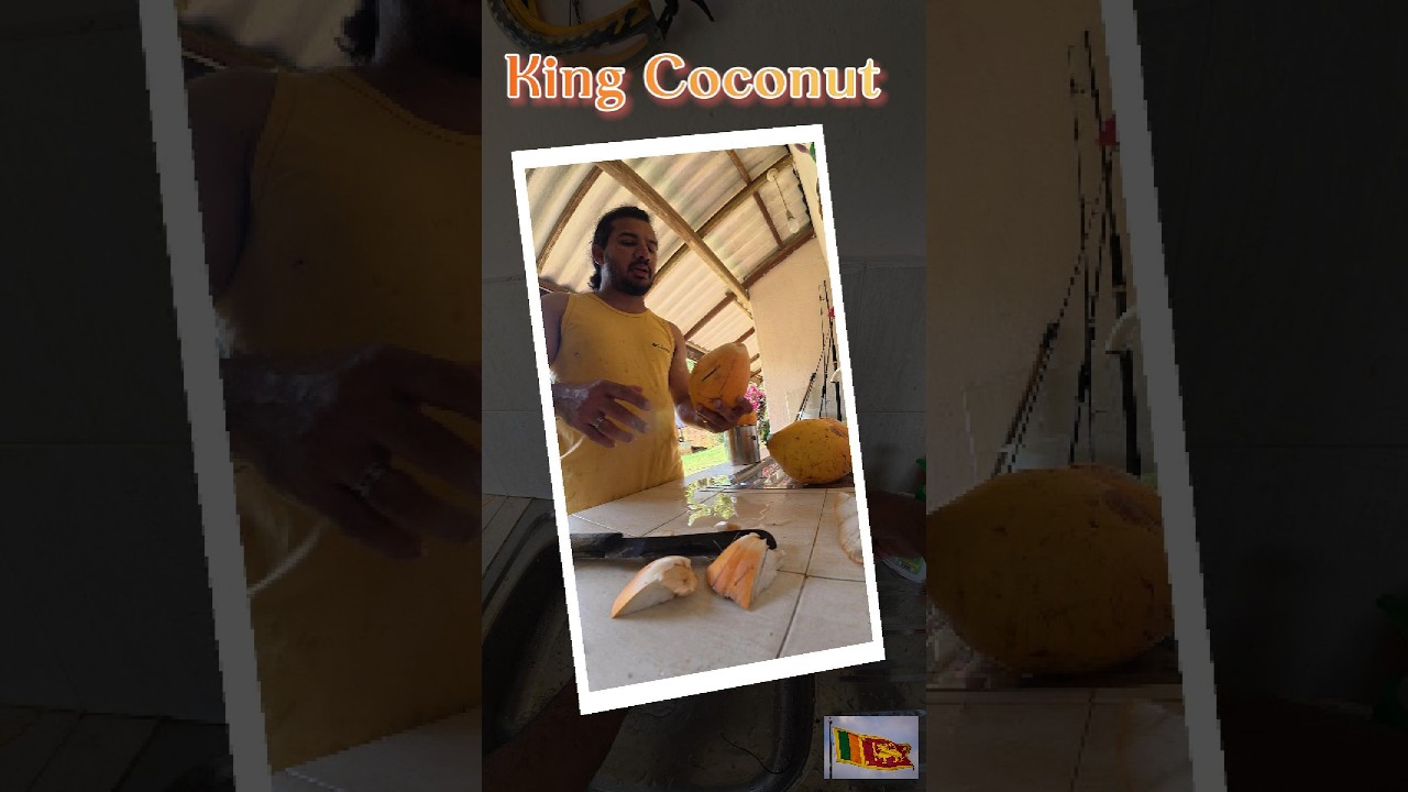 Fresh King Coconut from My Garden in Sri Lanka 🥥 | Pick, Cut & Drink