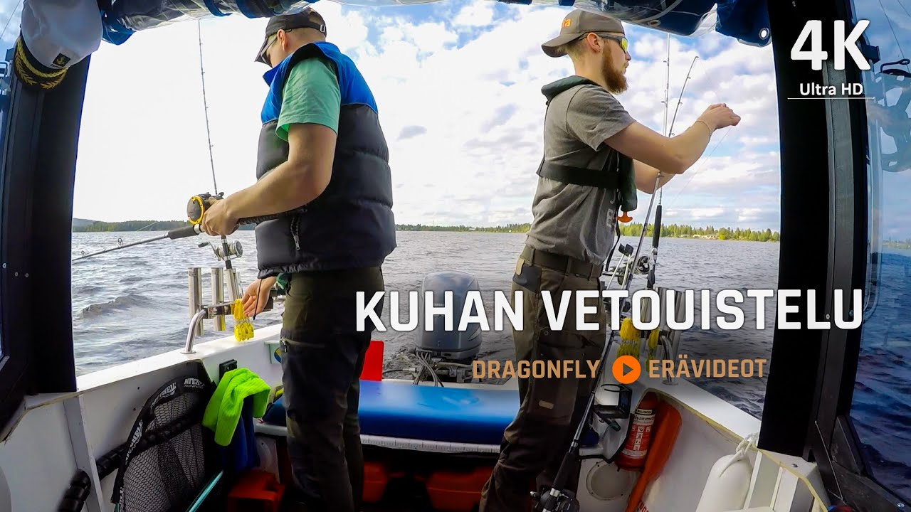 KUHAN VETOUISTELU | Dragonfly Erävideot