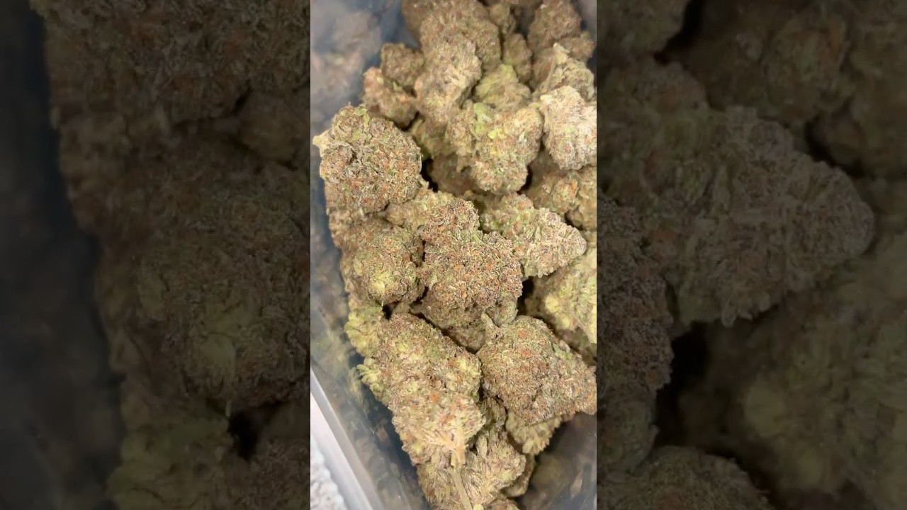 Gorilla Cake Thca small buds