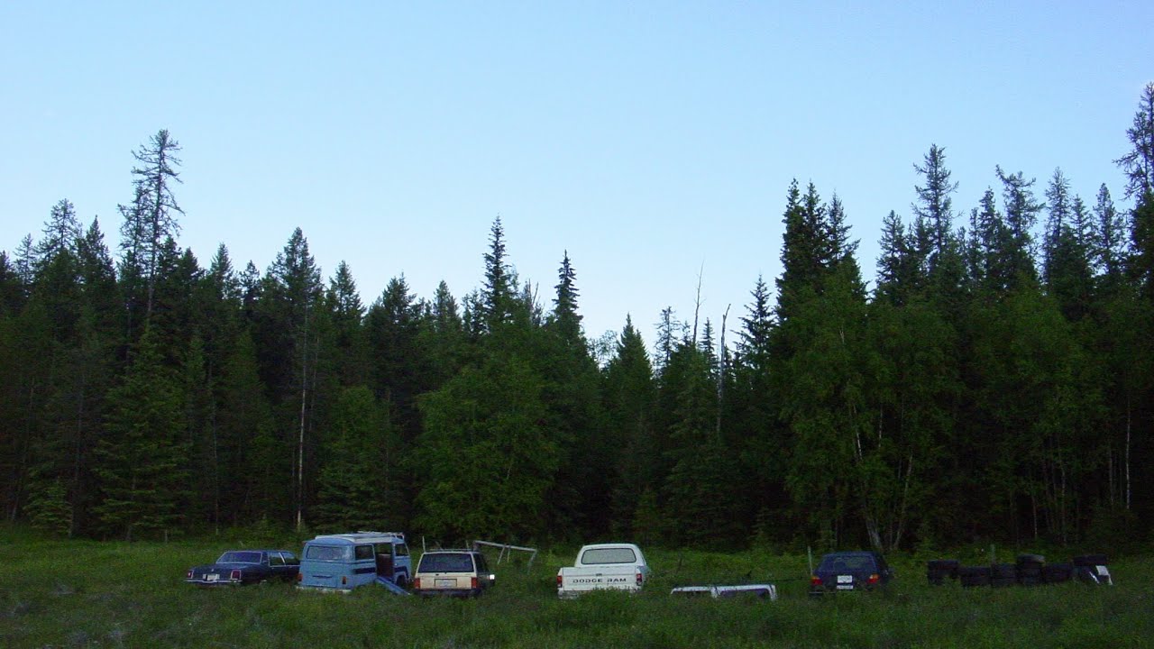 acoustic guitar / raw indie folk type beat “rollercoaster”