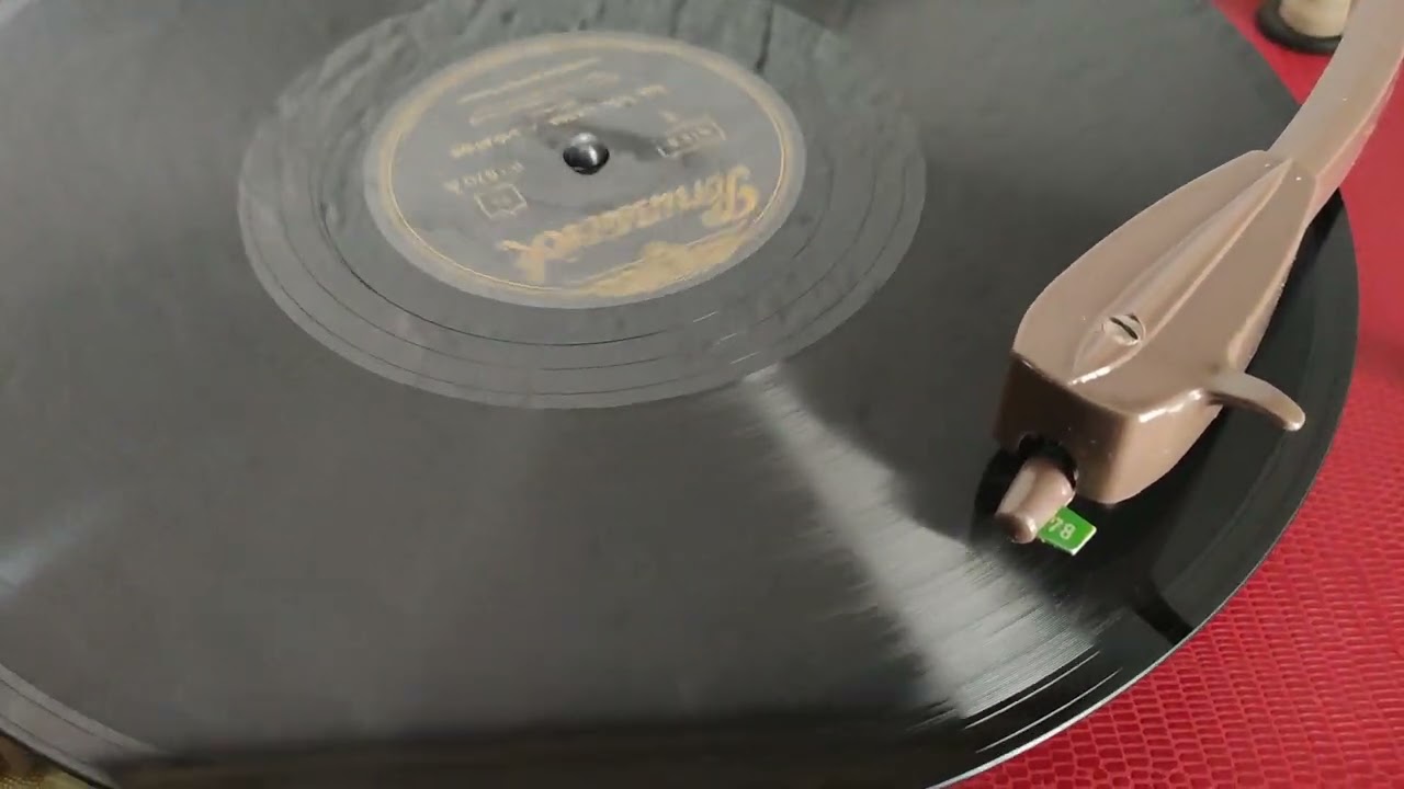 78 toeren Bill Haley - See you later alligator