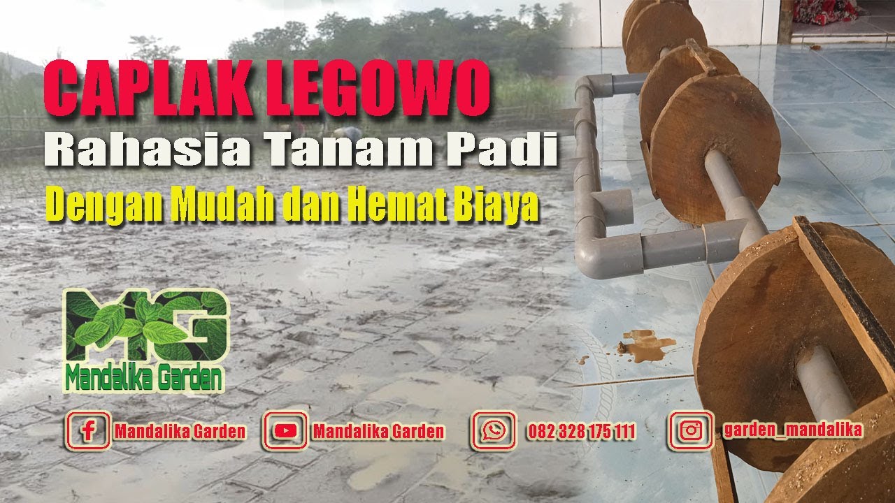 Cara Membuat Alat Tanam Padi Jajar Legowo || Caplak Legowo 2:1