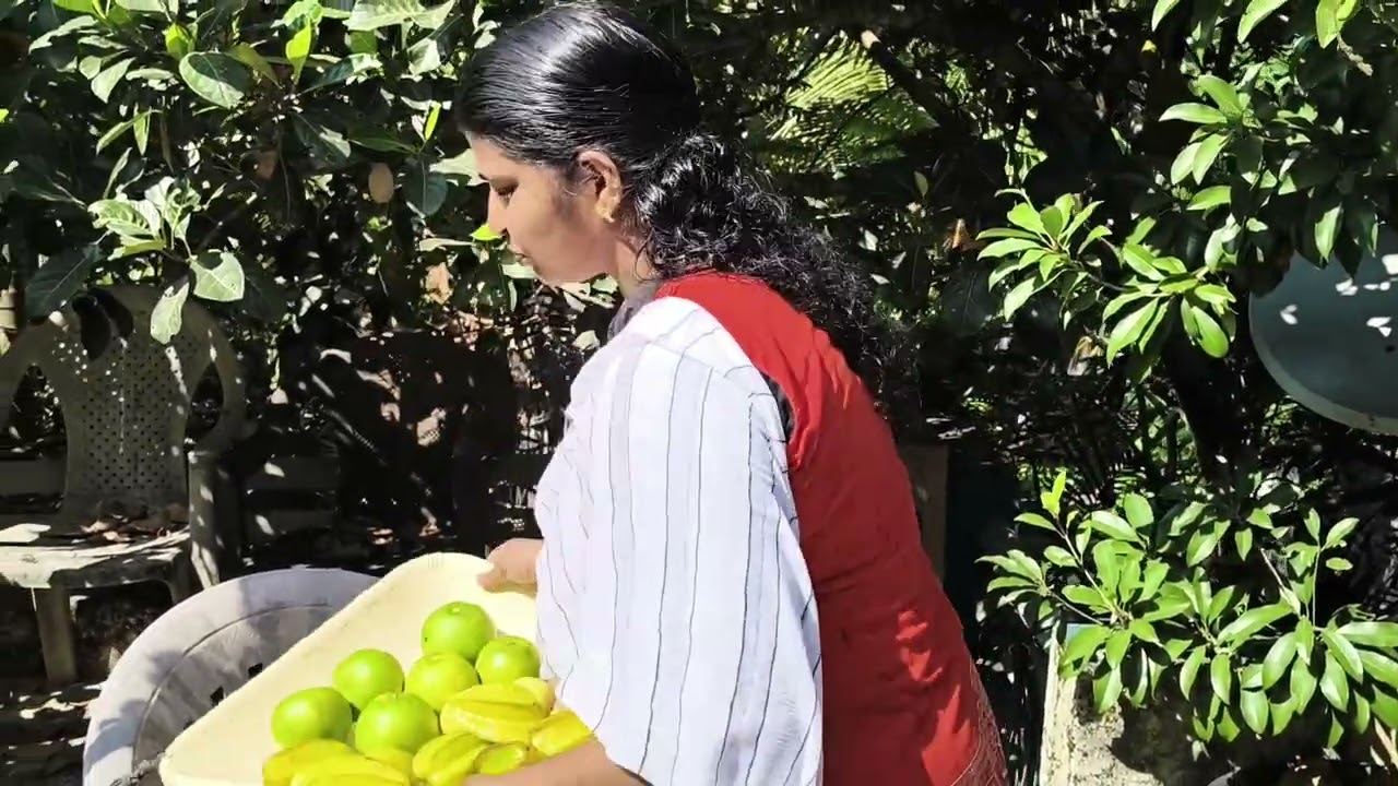 മണ്ണിൽ വിരിഞ്ഞ പൊൻവിളവുകൾ | Our Agricultural Yield & Harvest Story
