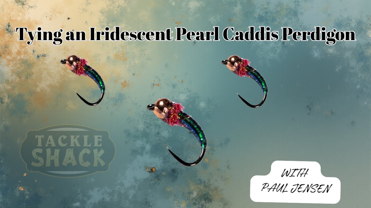 Вязание мушки Iridescent Pearl Caddis Perdigon — новый взгляд на классическую европейскую нимфу.