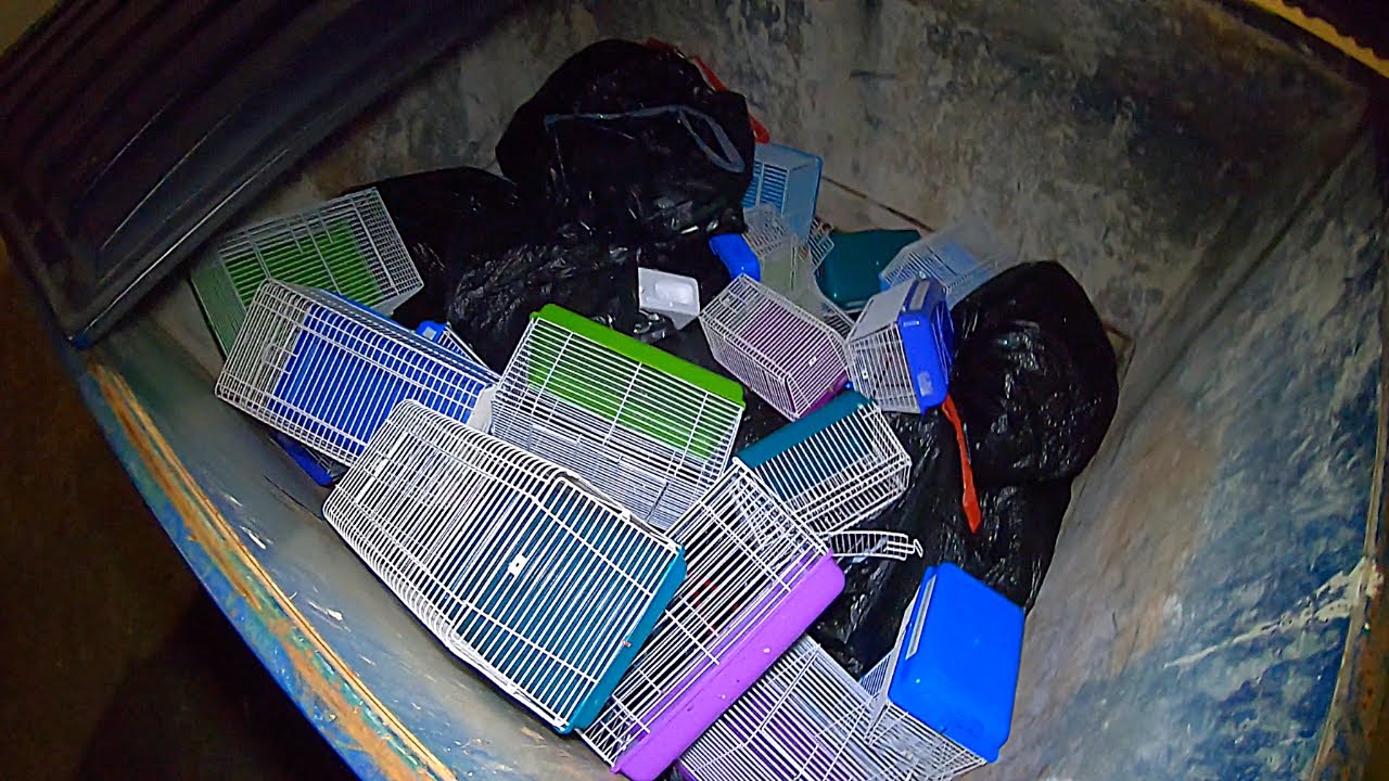 Dumpster Diving "Scratch & Dent"