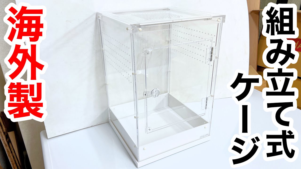 海外製の組み立て式爬虫類ケージを徹底レビュー