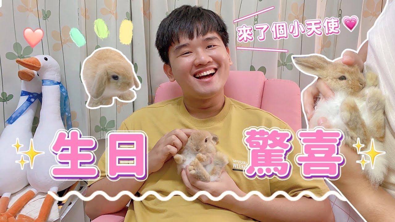 【安奈萃萃】佑哥25歲生日驚喜，變成兔兔奶爸開心到合不攏嘴😆