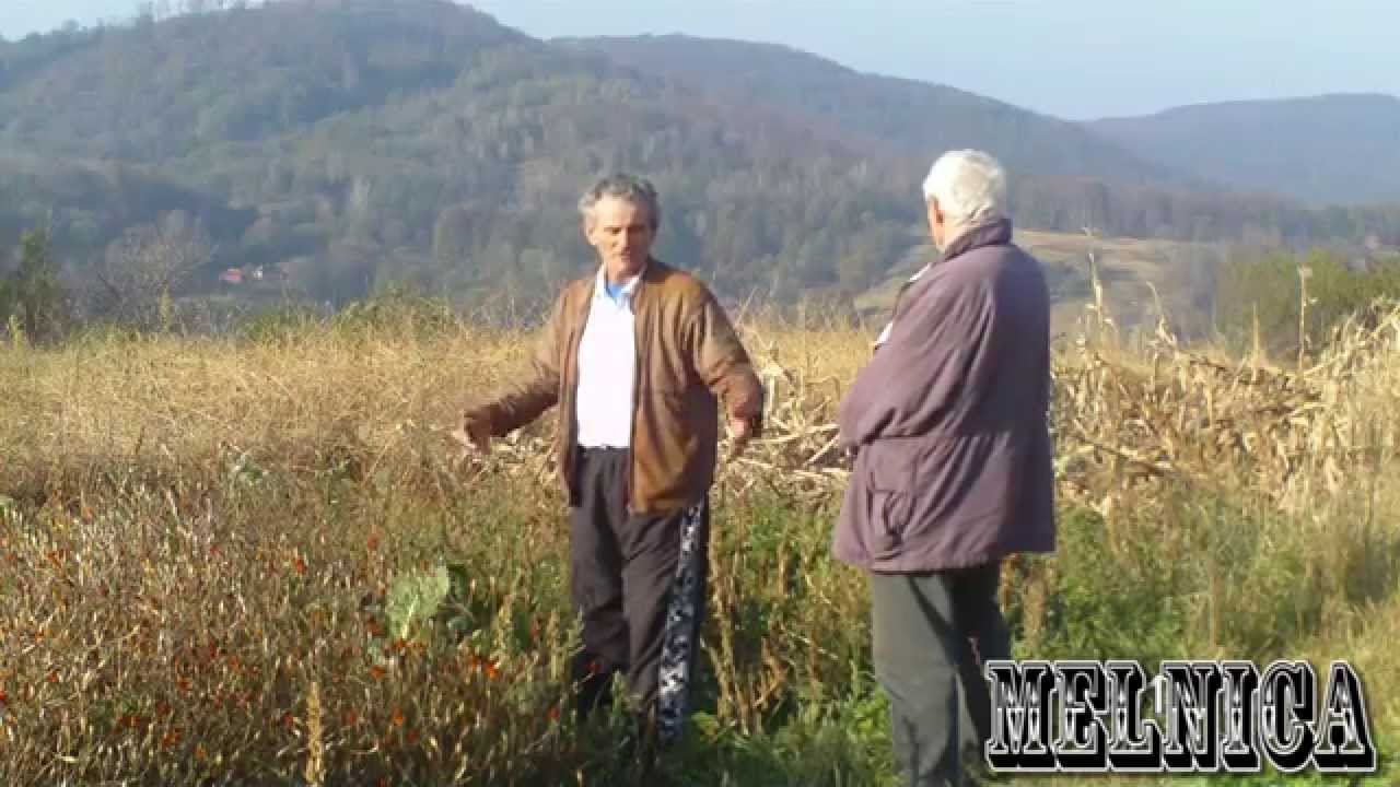 Petakovica jesen 2014