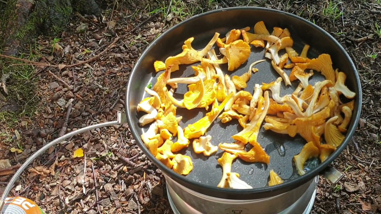 Ute och plockar svamp samt gör Kantarelltoast vid sjön