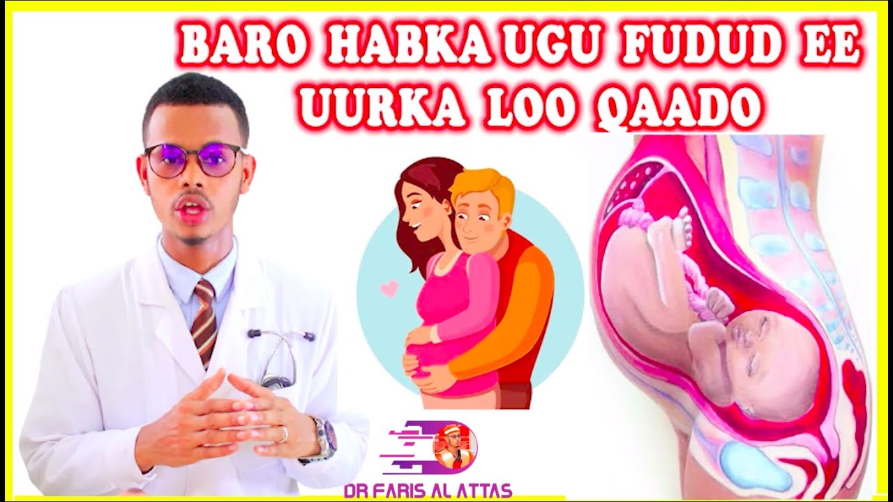 HABKA UGU FUDUD EE UURKA LOO QAADO IYO WAX YAABAHA KAA CAAWIN KARO UURKA. Dr faaris