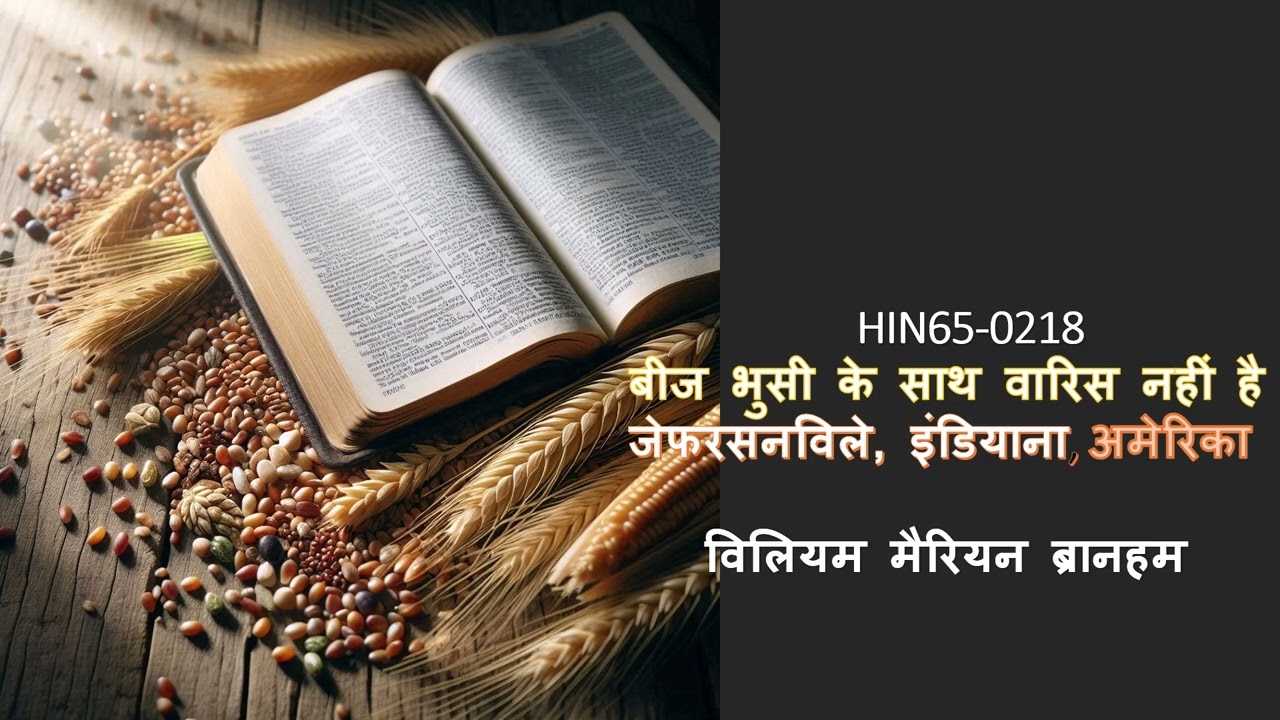 HIN65 0218  बीज भुसी के साथ वारिस नहीं है VGR