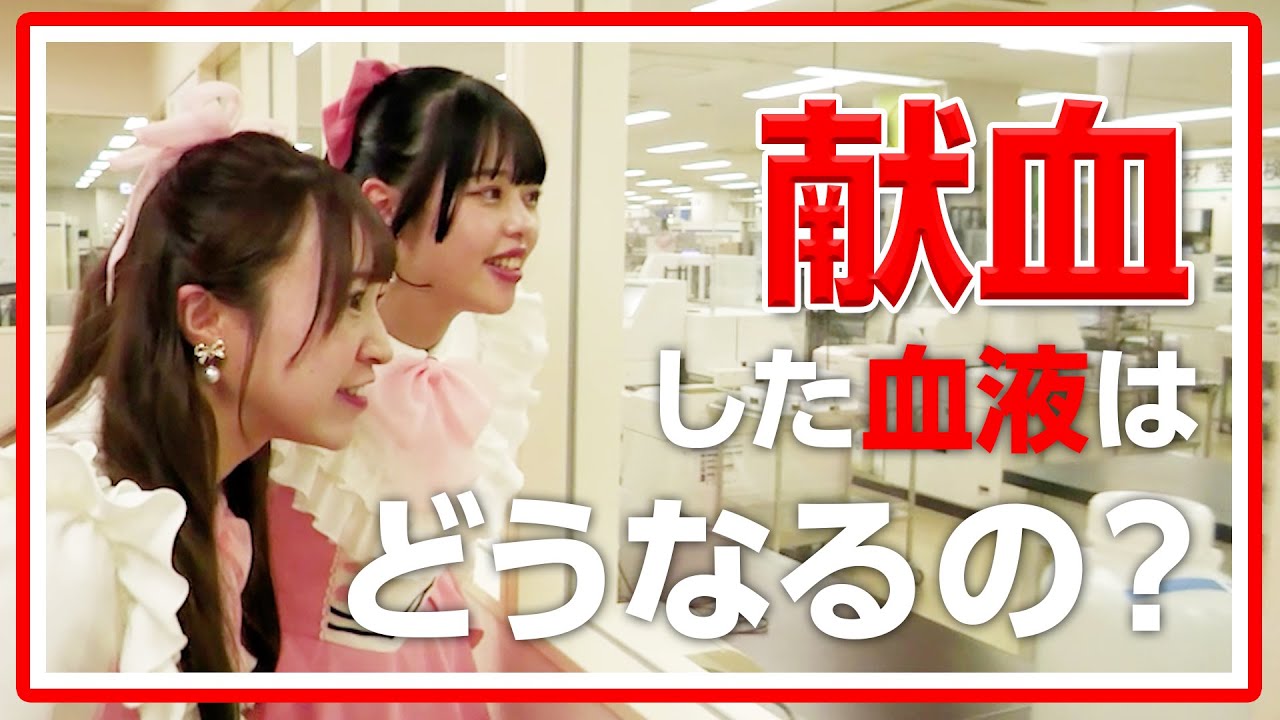 【Aim】献血した血液は一体どうなるの？赤十字血液センターを見学！【038】