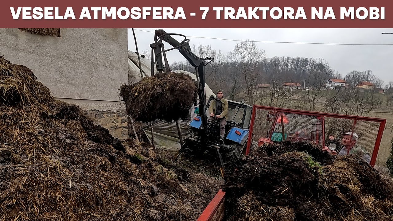 Tovarimo i razbacujemo stajnjak-Vuča stajskog đubriva-februar 2025