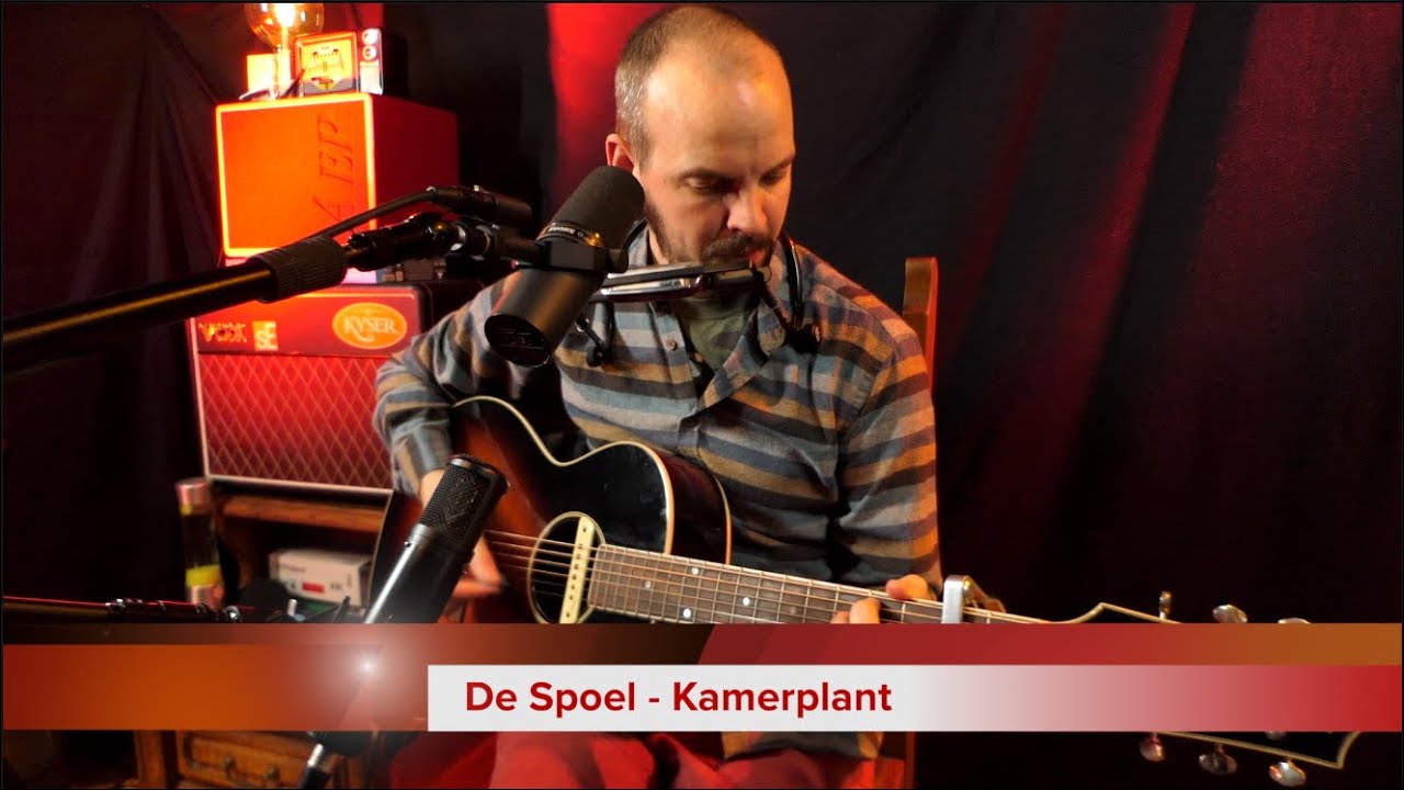 De Spoel - Kamerplant