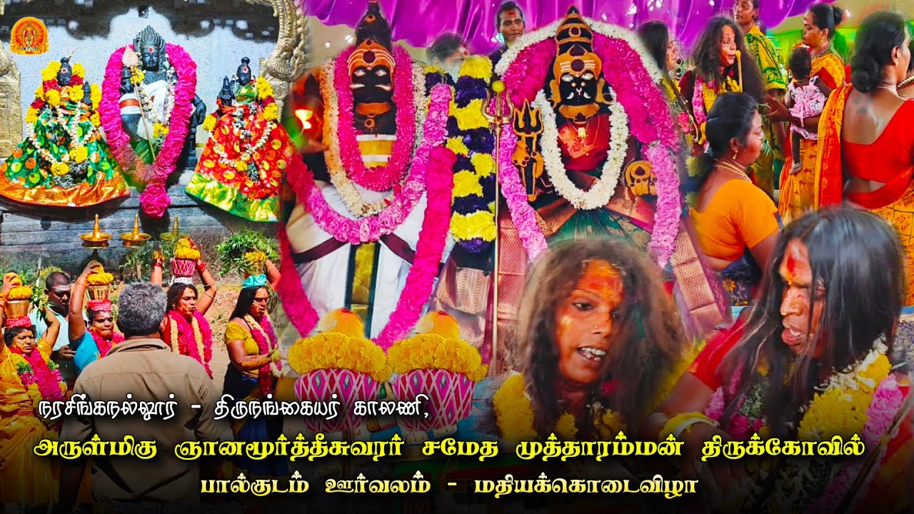 நரசிங்கநல்லூர் முத்தாரம்மன் கோவில் கொடைவிழா | மதியக்கொடைவிழா | திருநங்கையர்களின் கோவில் கொடைவிழா