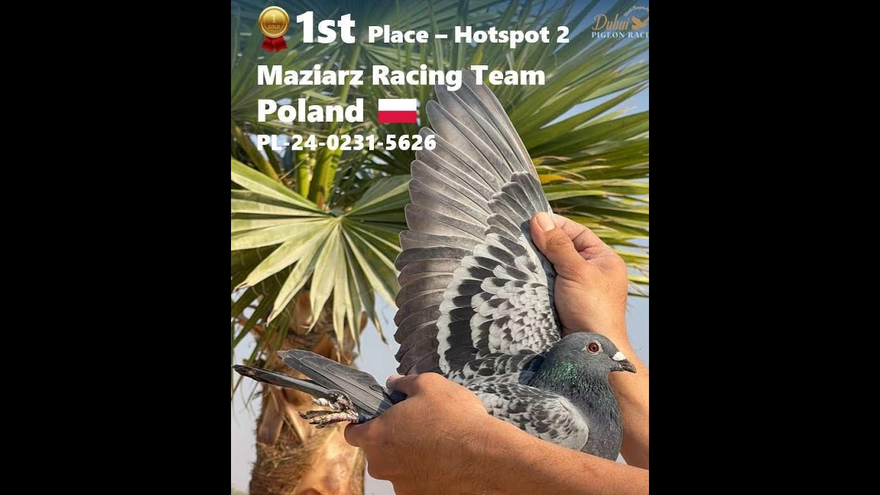 HIT!!! Cała prawda o hodowli i selekcji w kilka minut!!!