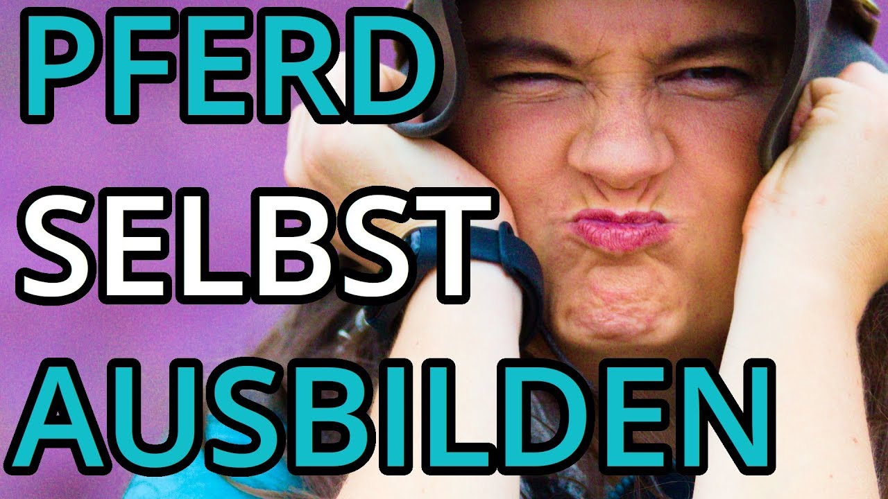 PFERD SELBST AUSBILDEN | Ich kann das nicht!!! |WAS IST WICHTIG ZU WISSEN?