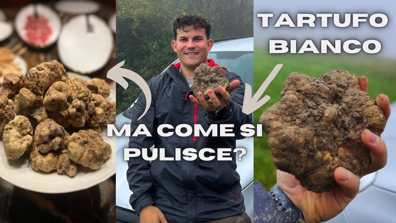 PULIZIA del TARTUFO BIANCO: Pulirlo in 3 SEMPLICI PASSI!