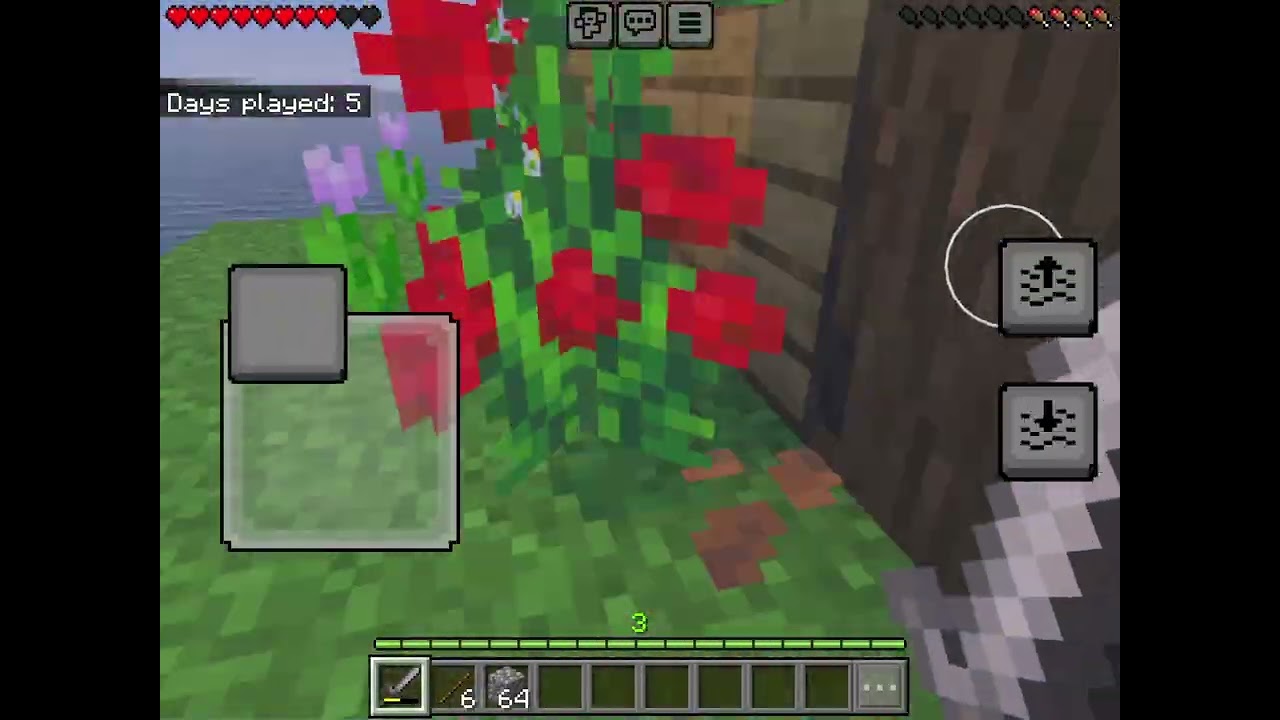 Minecraft part 2