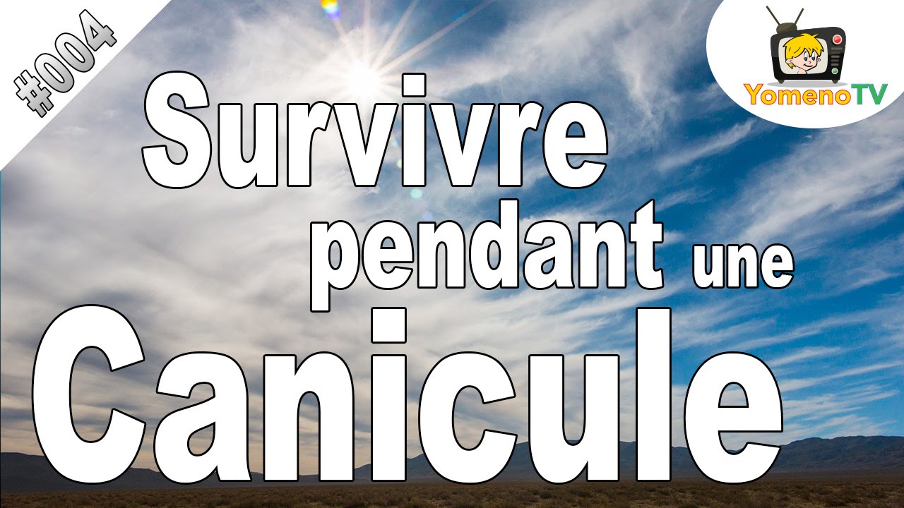 Comment supporter la chaleur pendant une canicule