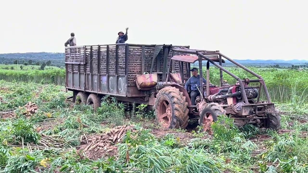 Quả TUBO thái này nghe phê cái tai quá(pu,pu).( Ót,ót)