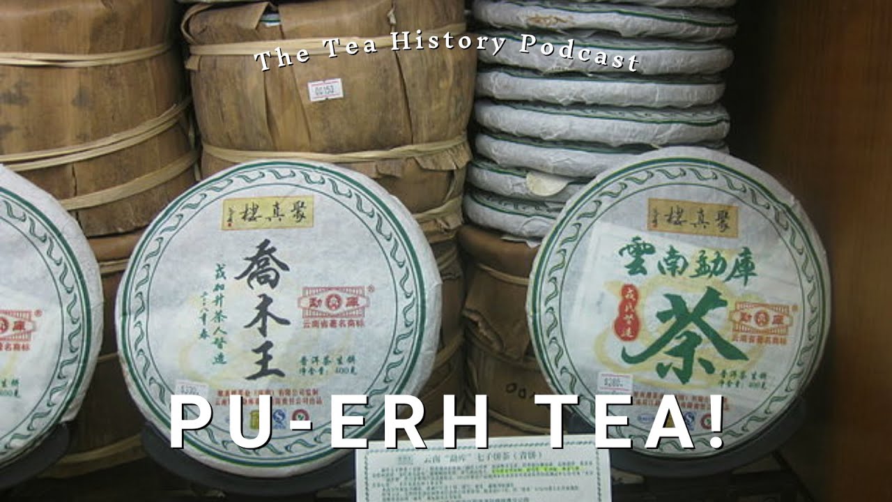 Pu-Erh Tea | Ep. 18 | The Tea History Podcast