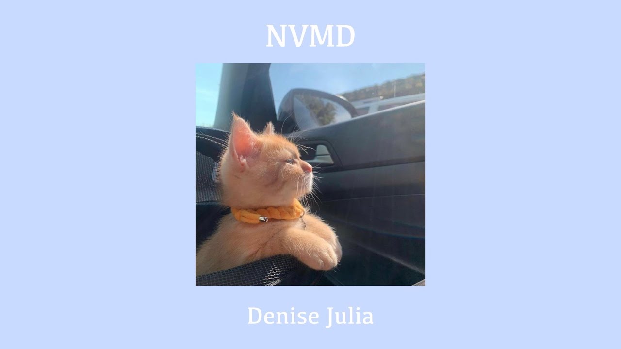 NVMD - Denise Julia (slowed + lyrics)