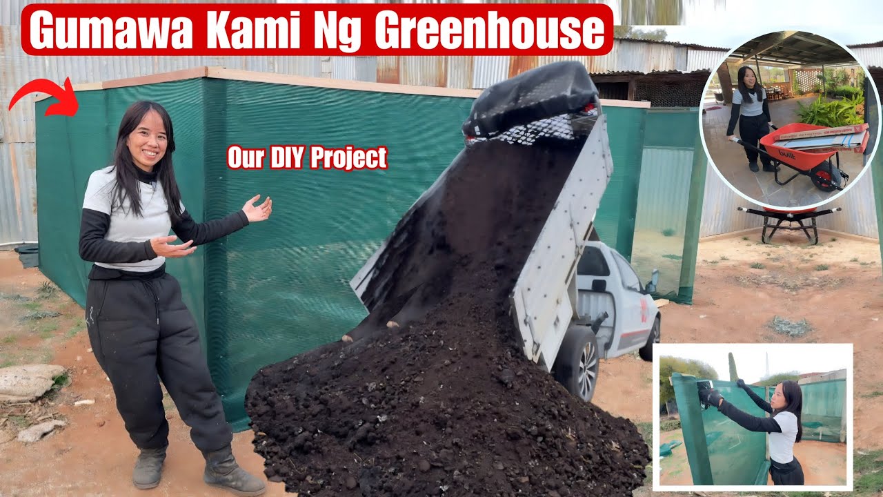 Simula Na Kami Mag Tanim Sa Aming Backyard|At Gumawa Ng Greenhouse 