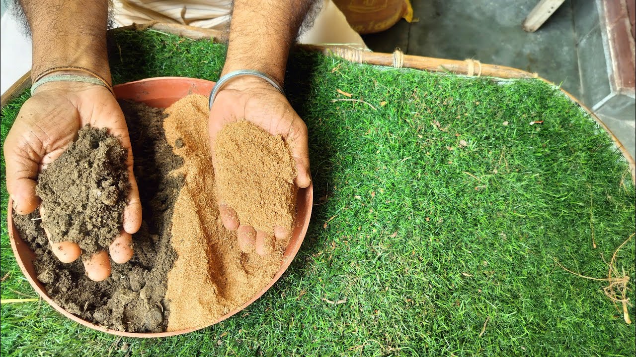 Cocopeat को कर दो Bye Bye। अब Wood Dust को करो Enjoy।