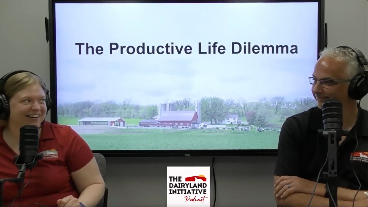 Episode 27: Productive Life