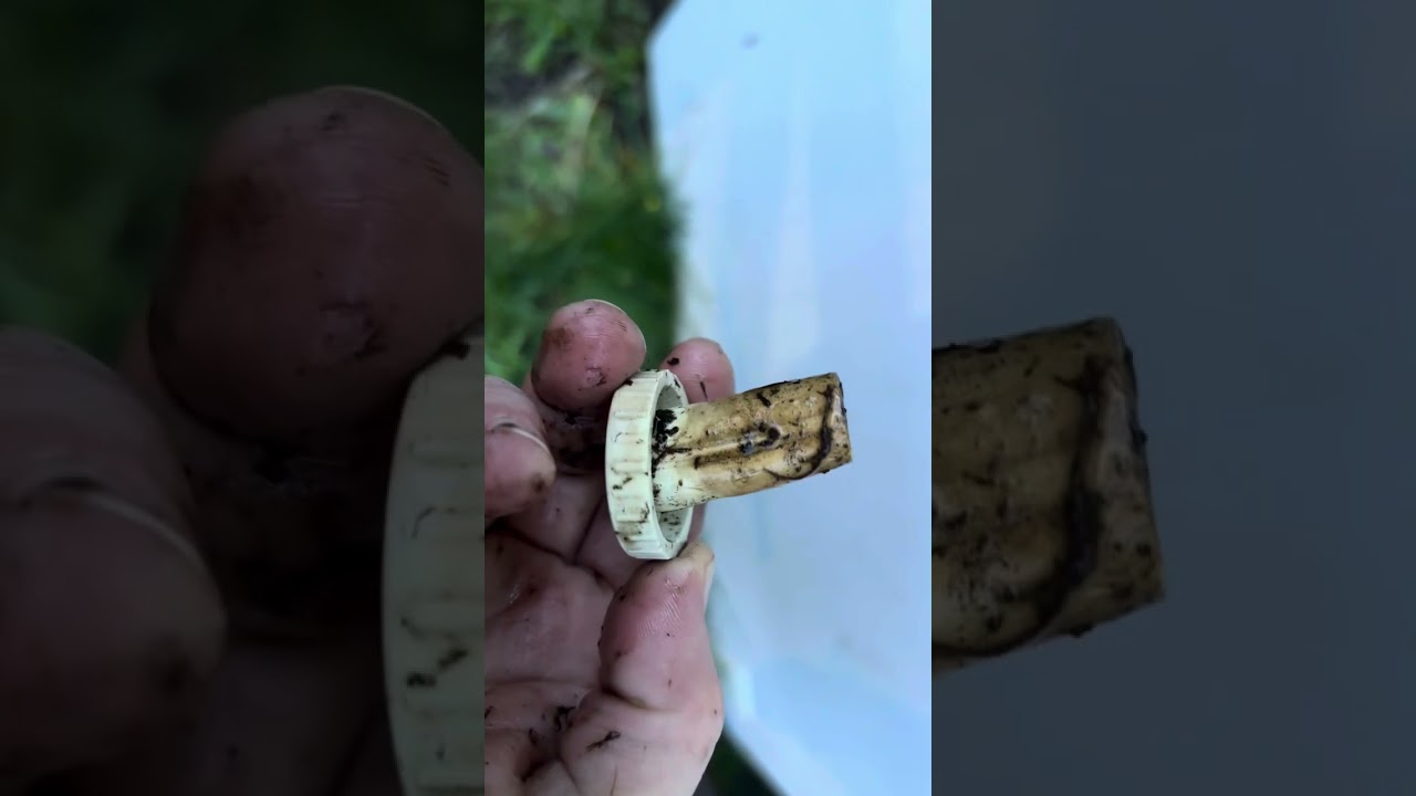 Homemade hay steamer