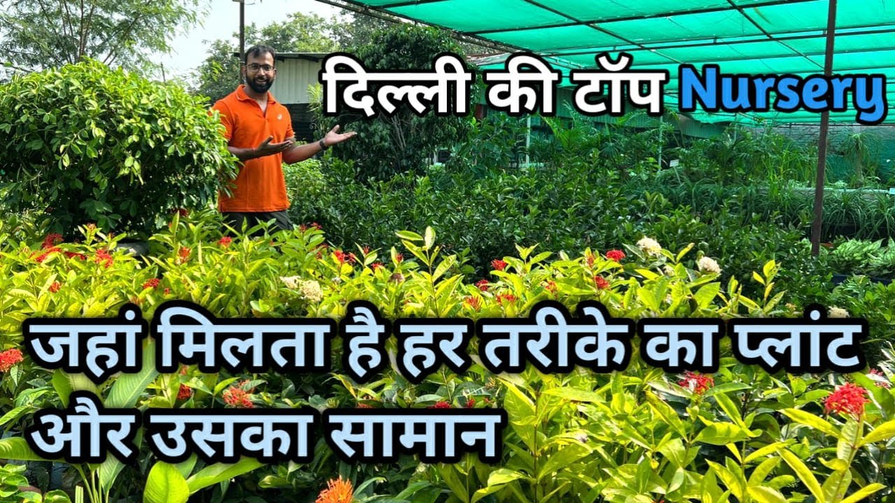 दिल्ली की टॉप Nursery |  जहां मिलता है हर तरीके का Plant घर के अंदर बाहर लगाए जाने वाले पौधे