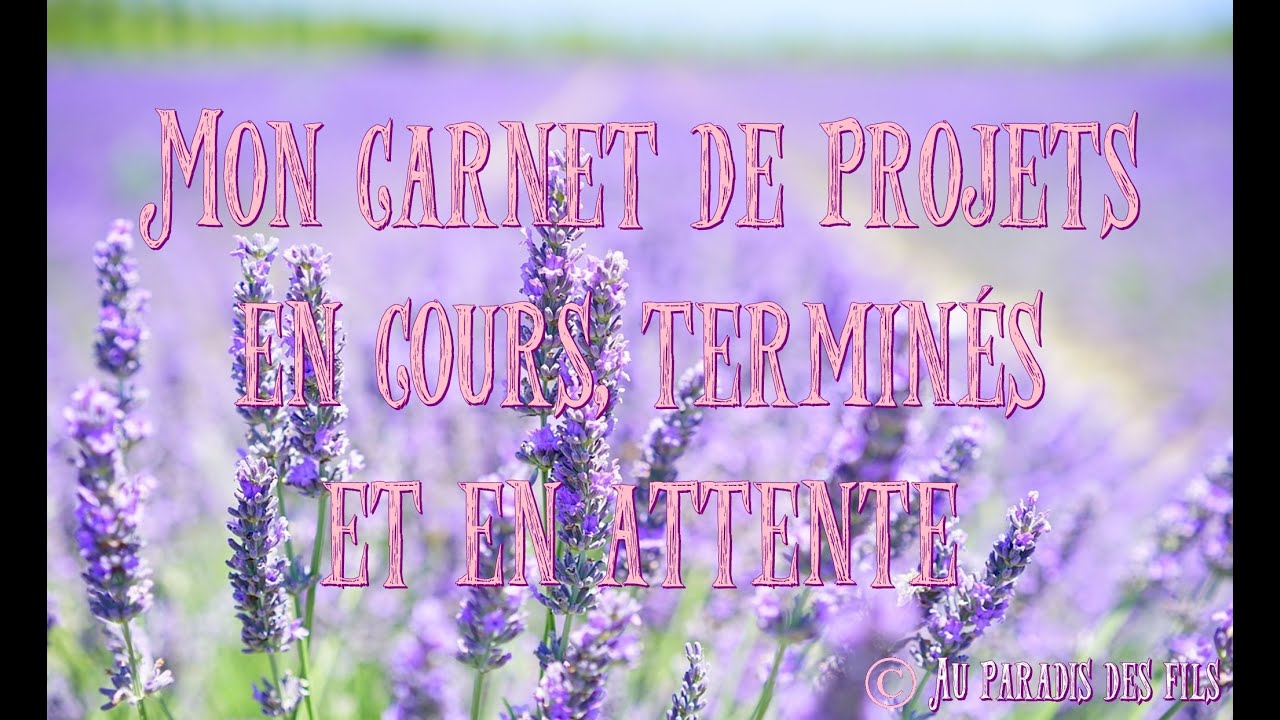 🪡🧵📍✂️ Mon carnet de projets en cours, terminés et en attente ✂️📍🧵🪡