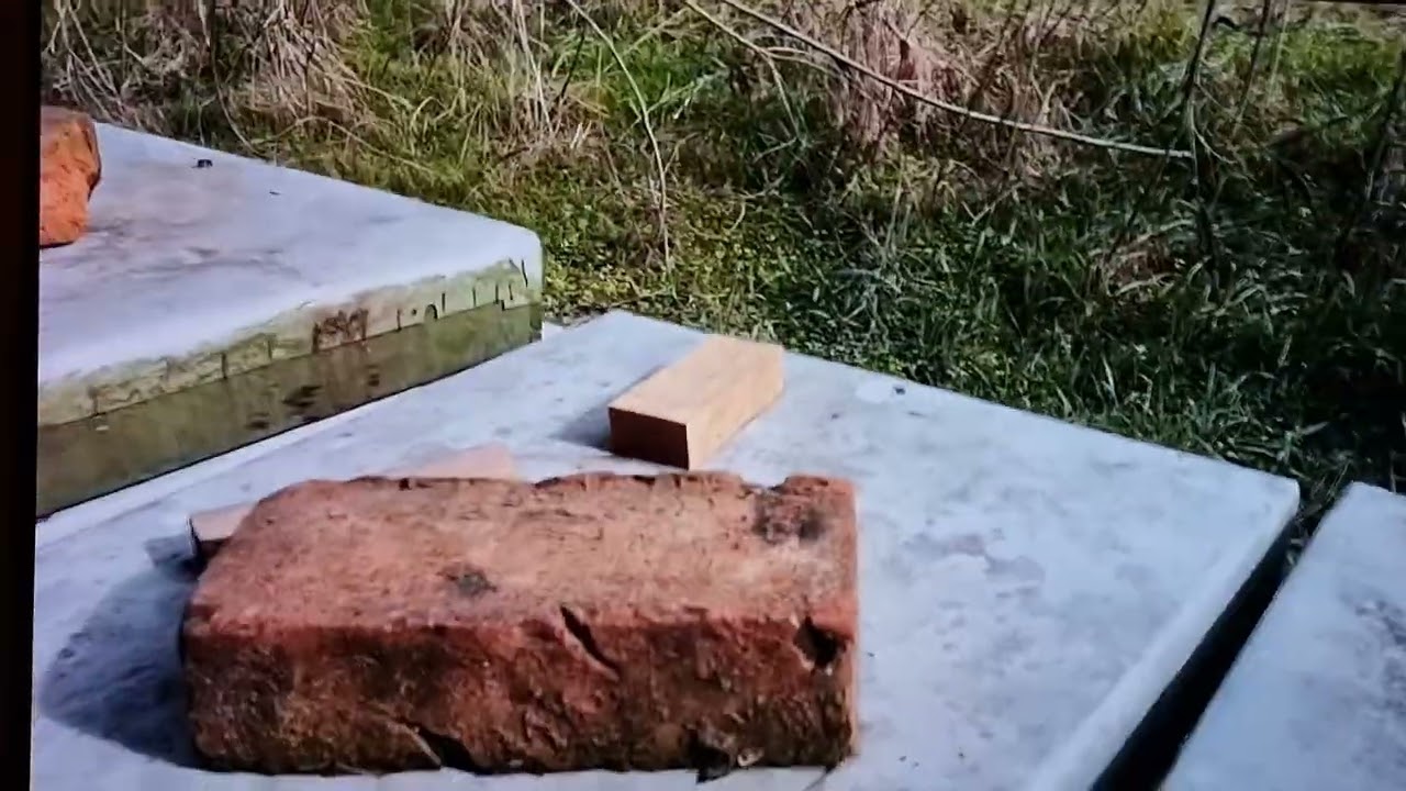 SKUPLJAČI POLENA KADA I ZAŠTO. 08. 02. 2023