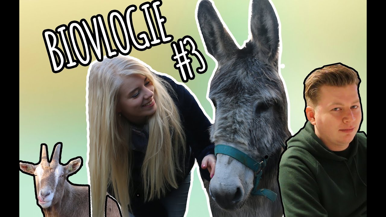 HERBIVOOR, CARNIVOOR, OMNIVOOR! HOE ZIE JE HET VERSCHIL?