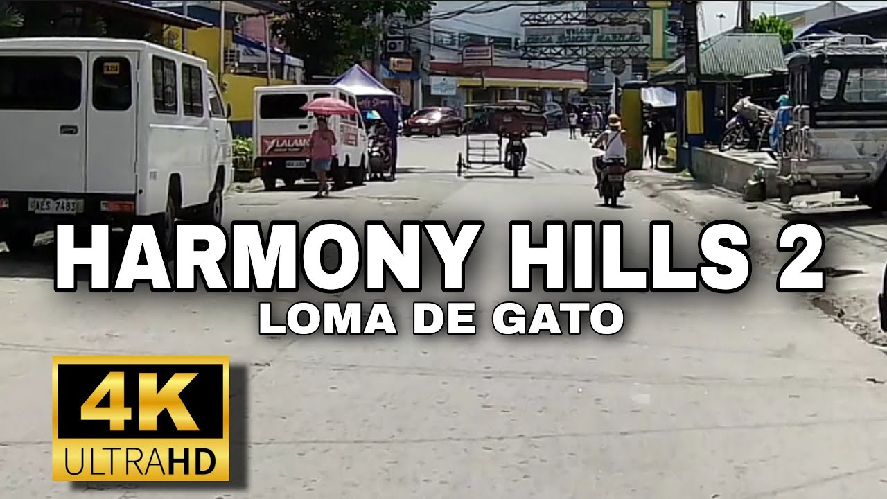 HARMONY HILLS 2, LOMA DE GATO