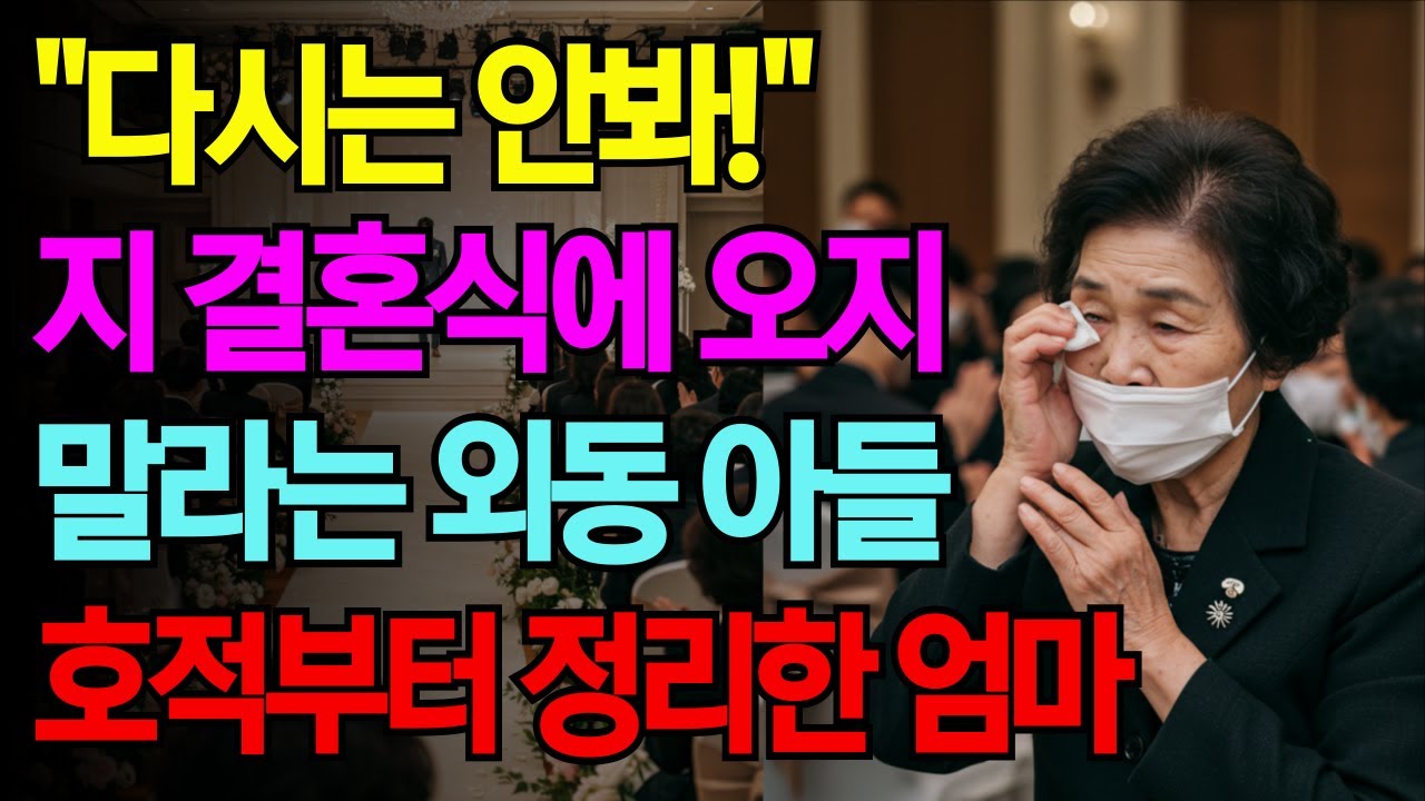 하나뿐인 아들이 지 결혼식에 오지 말라고 하길래 호적부터 정리한 엄마 [오디오북][사연라디오][부모자식][인생이야기]