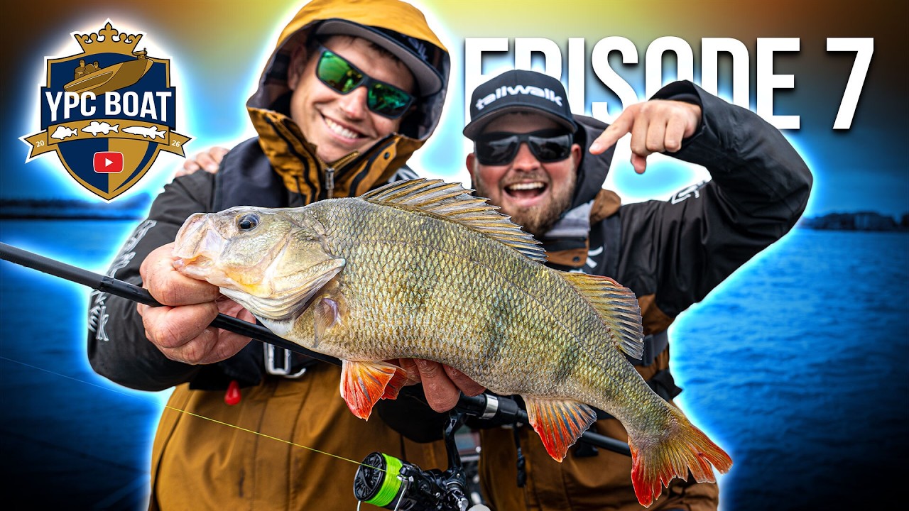 Sprengt DIESER kuriose Beifang die Barsch-Party!? | YPC Boat 26 Episode 7