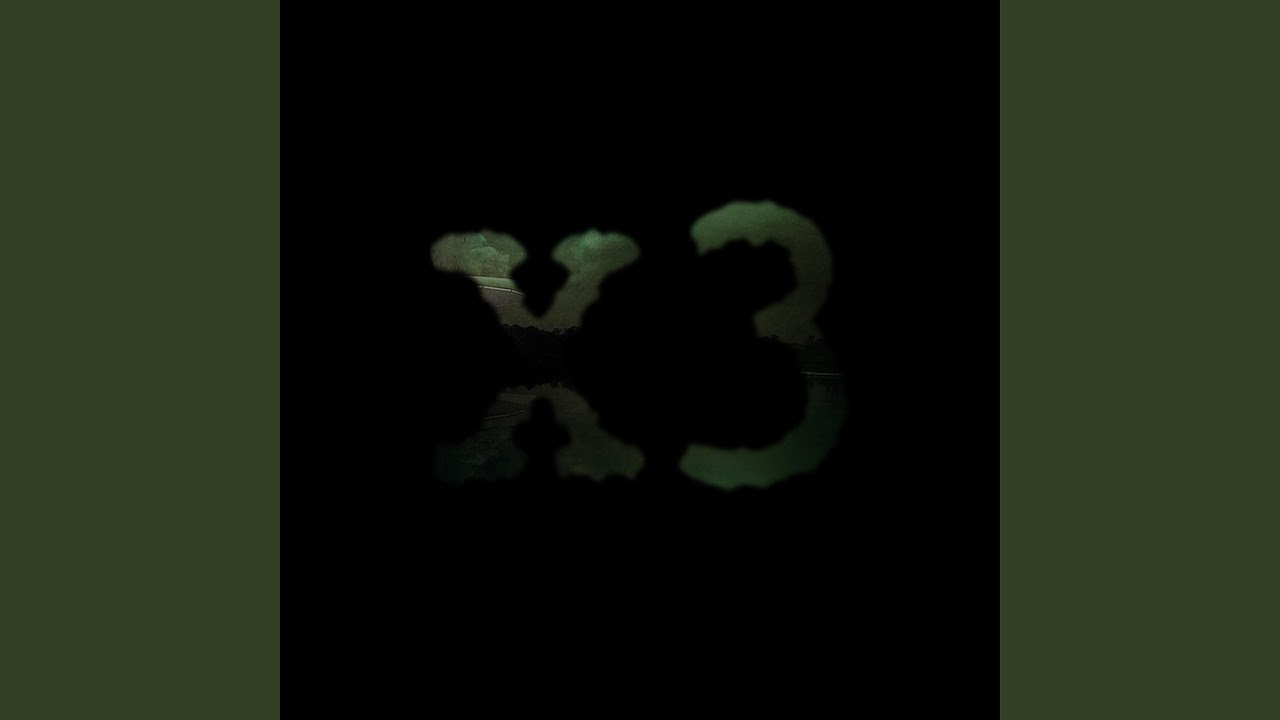X3