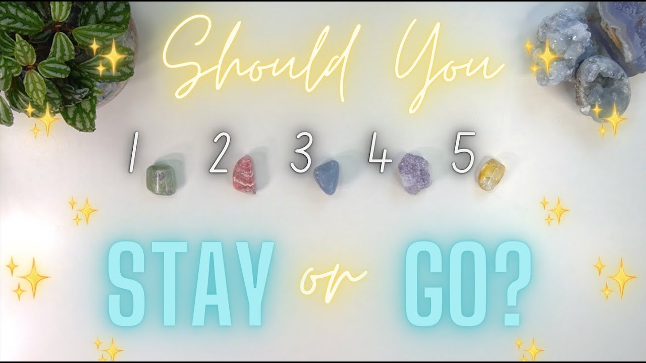 🌺Should You STAY or GO? (ANY situation!)✨ Tarot Reading 🌺