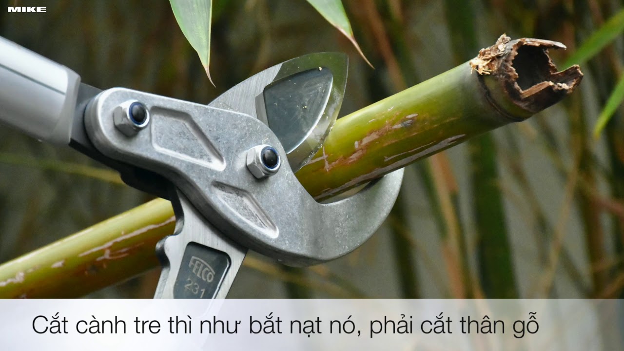 Kéo cắt cành như cắt bún FELCO 231 sản xuất tại Thụy Sỹ