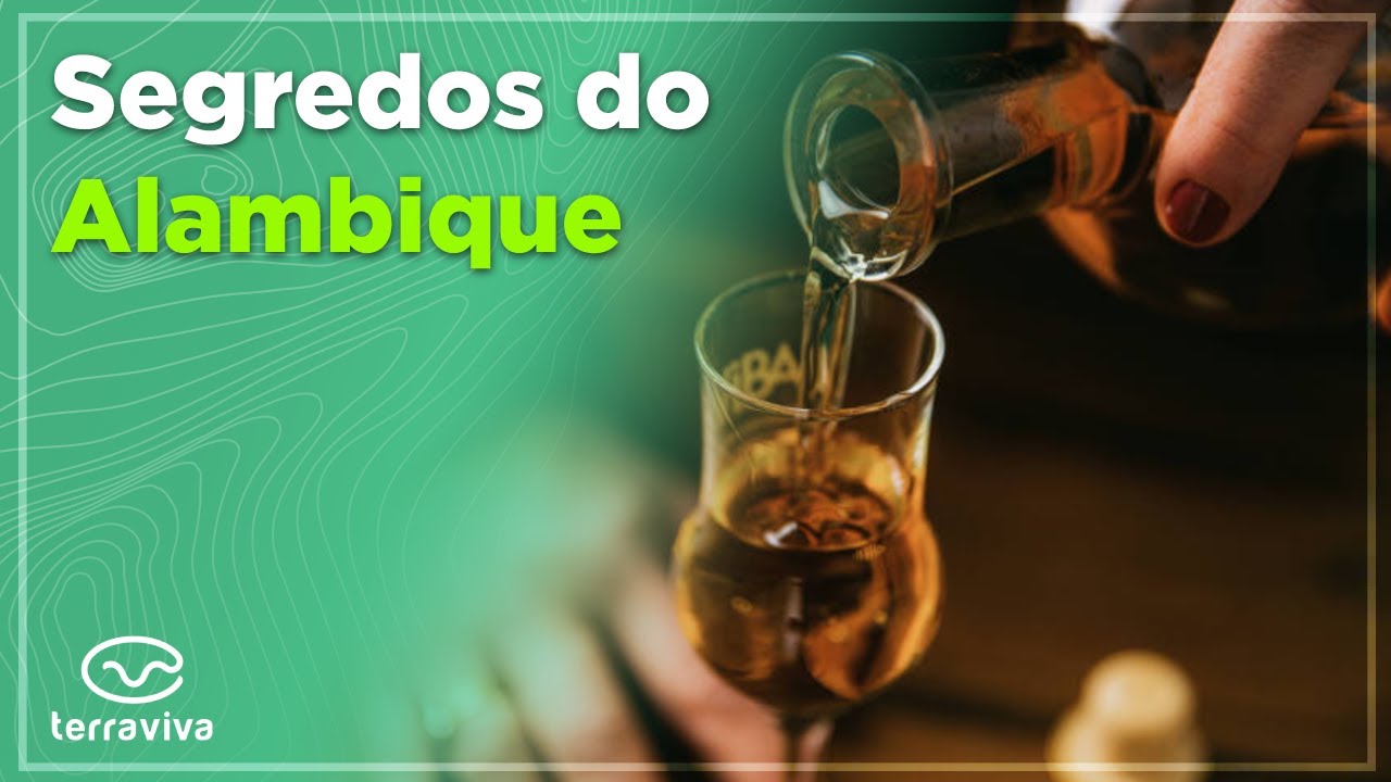 Como funciona a fermentação da cachaça e qual a importância de um processo bem feito?