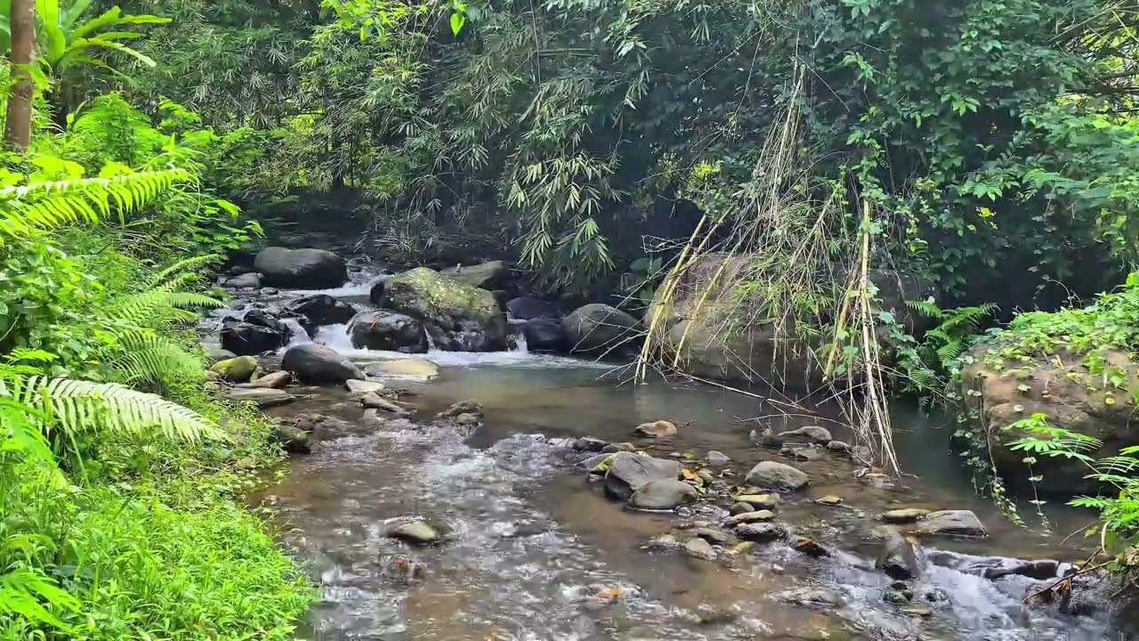 🌿 Mind Reset Mode 🌊 Calm Stream Flow In Green Valley