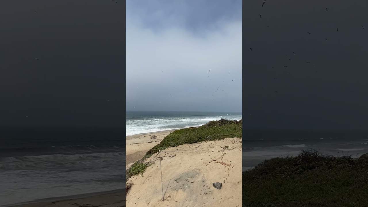 Ocean. Monterey.#beach#ocean#monterey#reel#сша#пляж#природа#влог#красиво#ютуб#кохання#люсячеботина