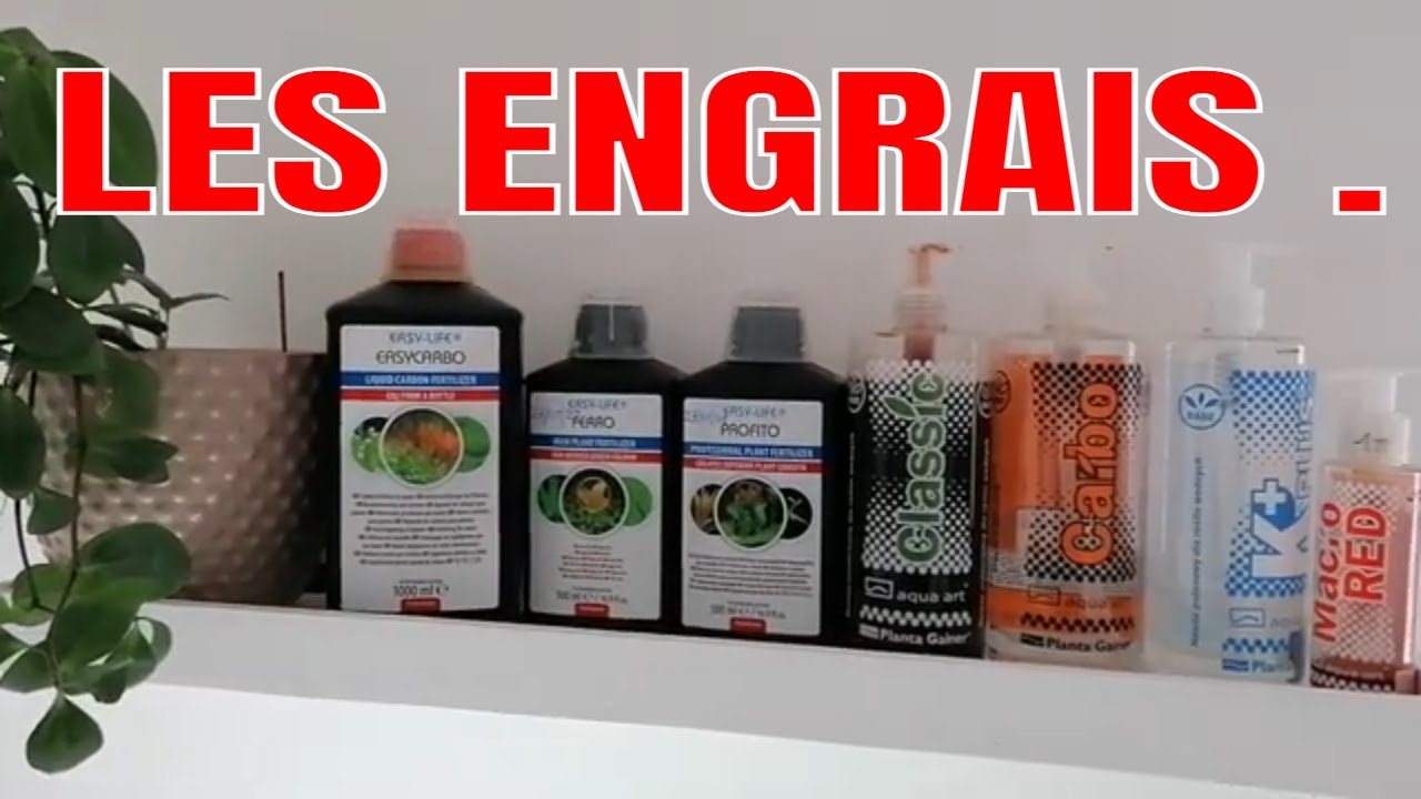 Engrais en aquariophilie